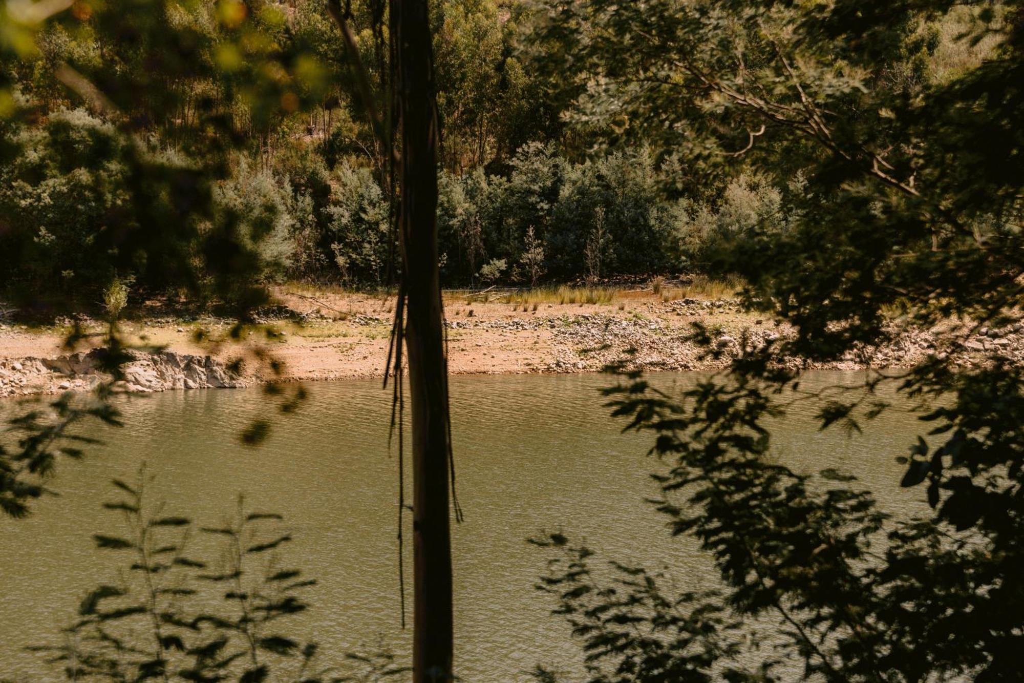 Vilas Da Matagosa Matagosinha 外观 照片