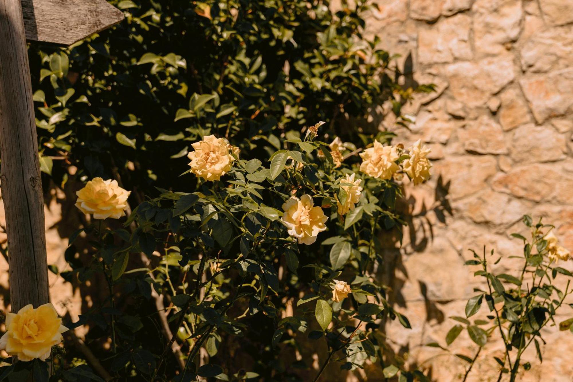 Vilas Da Matagosa Matagosinha 外观 照片